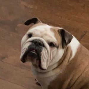 Meet your Posher, Jamie